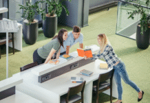 Flexible Workspaces: Reconfiguring Your Office Layout with Modular Glass Partitions